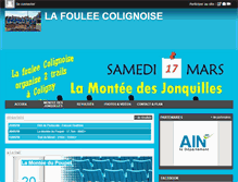 Tablet Screenshot of fouleecolignoise.com